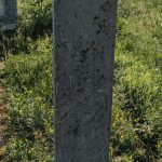 Споменик Ненаду Петровићу на гробљу у Јаковљевини, Гостиница (фото Бојан Радојичић)