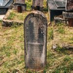 Споменик Радисаву и Велисаву Симићу на гробљу у Максимовићима, Гостиница (фото Бојан Радојичић)