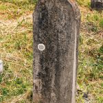 Споменик Радисаву и Велисаву Симићу на гробљу у Максимовићима, Гостиница (фото Бојан Радојичић)