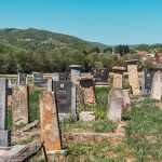 Гробље у Мујчевини, Рибашевина (фото Бојан Радојичић)