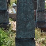 Споменик Вукоману Вукићу у Мујчевини, Рибашевина (фото Бојан Радојичић)