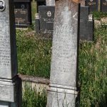 Споменик Милошу Бабућу у Мујчевини, Рибашевина (фото Бојан Радојичић)