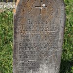 Споменик Василију Танасковићу у Мујчевини, Рибашевина (фото Бојан Радојичић)