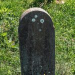 Споменик Василију Танасковићу у Мујчевини, Рибашевина (фото Бојан Радојичић)
