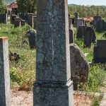 Споменик Станоју Ђокановићу у Мујчевини, Рибашевина (фото Бојан Радојичић)
