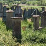 Гробље у Мујчевини, Рибашевина (фото Бојан Радојичић)