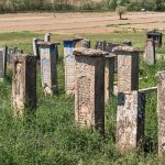 Гробље у Мујчевини, Рибашевина (фото Бојан Радојичић)