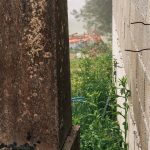 Крајпуташ Радоју Познановићу у Гостиници (фото Бојан Радојичић)