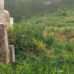 Крајпуташи Познановићима у Гостиници (фото Бојан Радојичић)