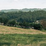 Гробље код каранске Беле цркве (фото Бојан Радојичић)