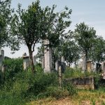 Гробље код каранске Беле цркве (фото Бојан Радојичић)