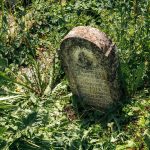 Споменик Мирку И. на гробљу код каранске Беле цркве (фото Бојан Радојичић)