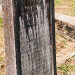 Споменик Владимиру Мурићу на гробљу код каранске Беле цркве (фото Бојан Радојичић)