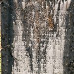 Споменик Петру Мурићу на гробљу код каранске Беле цркве (фото Бојан Радојичић)