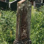 Споменик Милисаву Јањићу на гробљу на Главици у Карану (фото Бојан Радојичић)