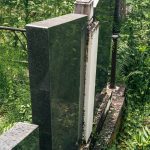 Споменик Станојлу Цану Костићу на гробљу на Главици у Карану (фото Бојан Радојичић)