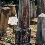 Споменик Војмиру Петровићу на гробљу на Главици у Карану (фото Бојан Радојичић)