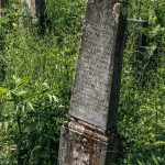 Споменик Томи Митрићу на гробљу на Главици у Карану (фото Бојан Радојичић)