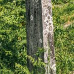 Споменик Томи Митрићу на гробљу на Главици у Карану (фото Бојан Радојичић)