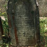 Споменик Миленку Веселиновићу на гробљу на Главици у Карану (фото Бојан Радојичић)