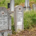 Споменик Радомиру Николићу на гробљу у Туку, Рибашевина (фото Бојан Радојичић)