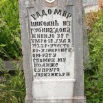 Споменик Радомиру Николићу на гробљу у Туку, Рибашевина (фото Бојан Радојичић)