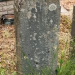 Споменик Радомиру Николићу на гробљу у Туку, Рибашевина (фото Бојан Радојичић)