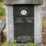 Споменик Мићу и Војимиру Шишићу на гробљу у Туку, Рибашевина (фото Бојан Радојичић)