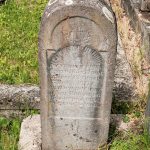 Споменик Светозару Шишићу на гробљу у Туку, Рибашевина (фото Бојан Радојичић)