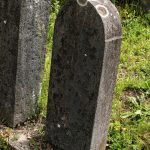 Споменик Светозару Шишићу на гробљу у Туку, Рибашевина (фото Бојан Радојичић)