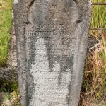 Споменик Јакову Шишићу на гробљу у Туку, Рибашевина (фото Бојан Радојичић)