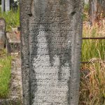 Споменик Јакову Шишићу на гробљу у Туку, Рибашевина (фото Бојан Радојичић)