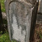 Споменик Јакову Шишићу на гробљу у Туку, Рибашевина (фото Бојан Радојичић)