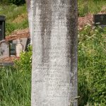 Споменик Чедомиру Б. Николићу на гробљу у Туку, Рибашевина (фото Бојан Радојичић)