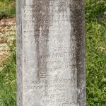 Споменик Чедомиру Б. Николићу на гробљу у Туку, Рибашевина (фото Бојан Радојичић)