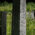 Споменик Чедомиру Б. Николићу на гробљу у Туку, Рибашевина (фото Бојан Радојичић)