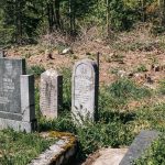 Споменик Витору Синђићу на гробљу у Мекотама, Стапари (фото Бојан Радојичић)