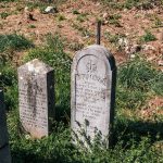 Споменик Витору Синђићу на гробљу у Мекотама, Стапари (фото Бојан Радојичић)