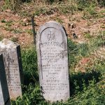 Споменик Витору Синђићу на гробљу у Мекотама, Стапари (фото Бојан Радојичић)