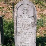 Споменик Витору Синђићу на гробљу у Мекотама, Стапари (фото Бојан Радојичић)