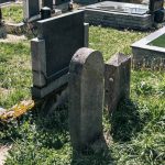 Споменик Витору Синђићу на гробљу у Мекотама, Стапари (фото Бојан Радојичић)
