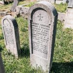 Споменик Милоју Синђићу на гробљу у Мекотама, Стапари (фото Бојан Радојичић)