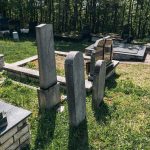 Споменик Милоју Синђићу на гробљу у Мекотама, Стапари (фото Бојан Радојичић)