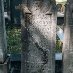 Споменик Радоју Вуковићу на гробљу у Мекотама, Стапари (фото Бојан Радојичић)