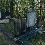 Споменик Радоју Вуковићу на гробљу у Мекотама, Стапари (фото Бојан Радојичић)