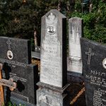 Споменик Михаилу Млађеновићу на гробљу код Мегаре у Стапарима (фото Бојан Радојичић)
