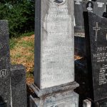 Споменик Михаилу Млађеновићу на гробљу код Мегаре у Стапарима (фото Бојан Радојичић)