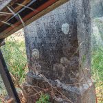 Споменик Бранку Крстонијевићу на гробљу код Мегаре у Стапарима (фото Бојан Радојичић)