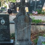 Споменик Давиду Јевремовићу на гробљу код Мегаре у Стапарима (фото Бојан Радојичић)