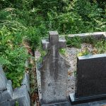 Споменик Давиду Јевремовићу на гробљу код Мегаре у Стапарима (фото Бојан Радојичић)